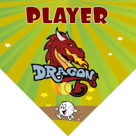 Dragon Softball Banner-custom-softball-banners-images
