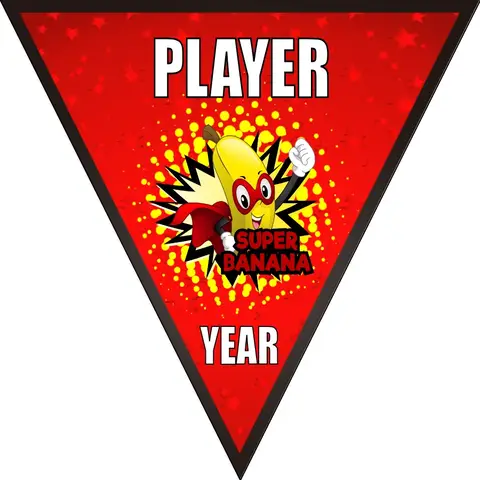Superbanana Soccer Banner-homemade-soccer-banner-ideas-picture