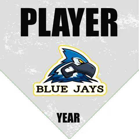 Blue Jays Softball Banner-softball-slogans-for-banners-images
