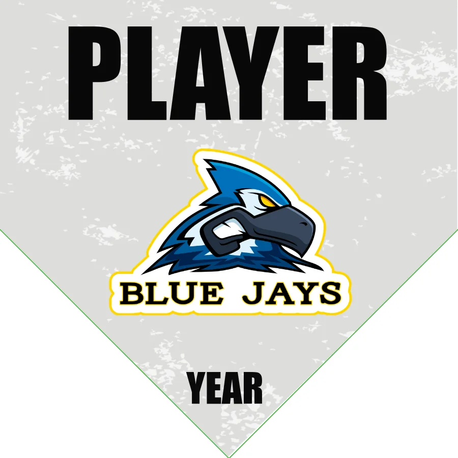 Blue Jays Softball Banner-softball-slogans-for-banners-images