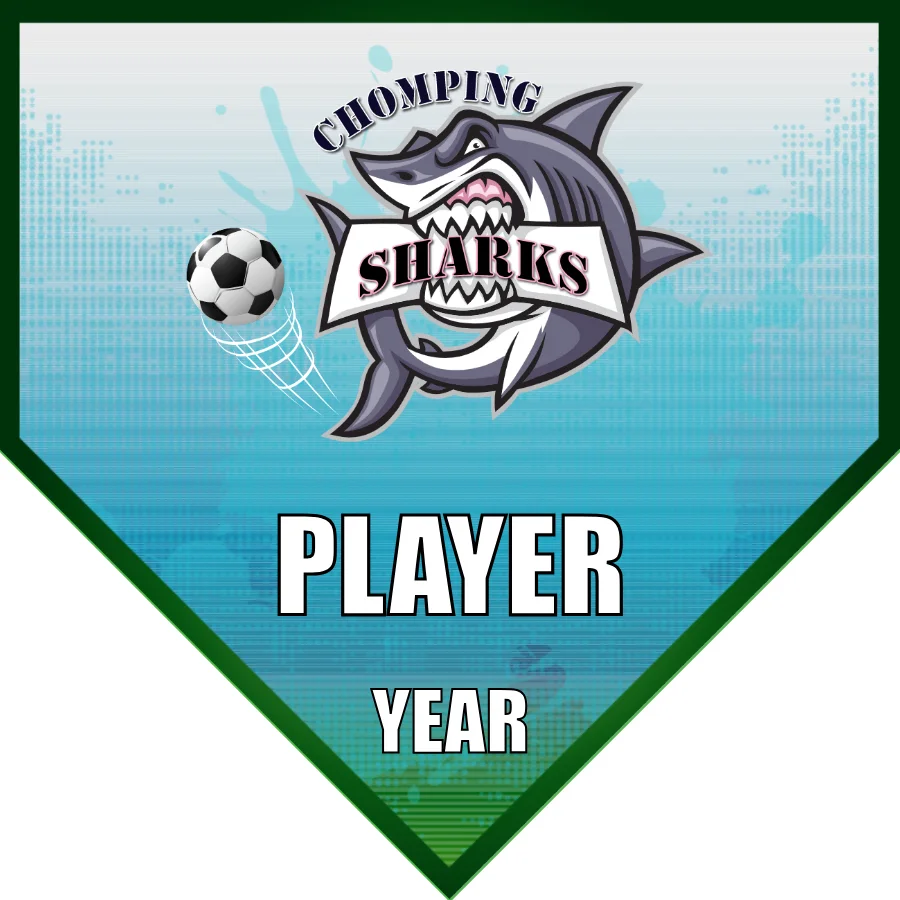 Chomping Sharks Soccer Banner-star-spangled-banner-soccer-game-picture
