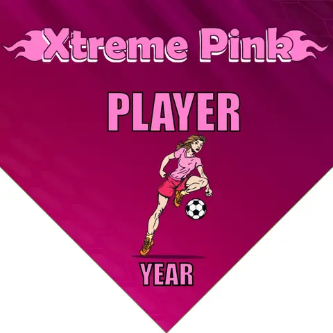 Xtreme Pink Soccer Banner-soccer-banner-flags-picture