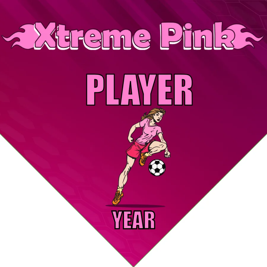 Xtreme Pink Soccer Banner-soccer-banner-flags-picture