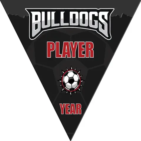Bulldogs Soccer Banner-soccer-team-banner-ideas-picture