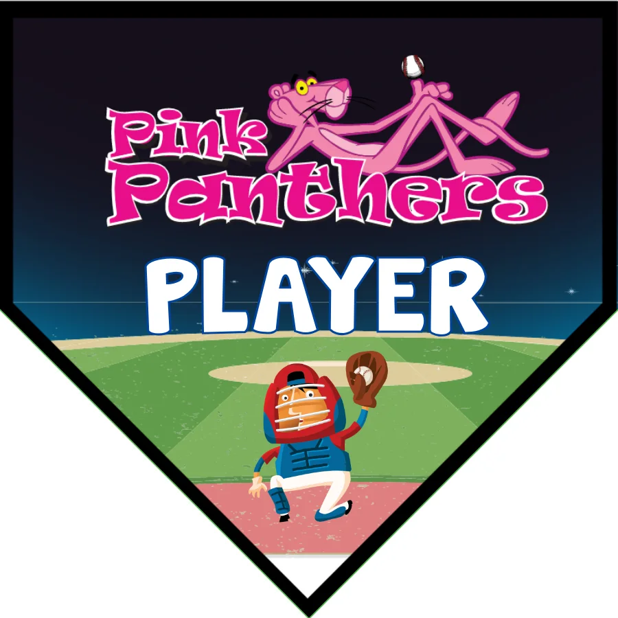 Pink Panthers 1 Softball Banner-fastpitch-softball-team-banner-images