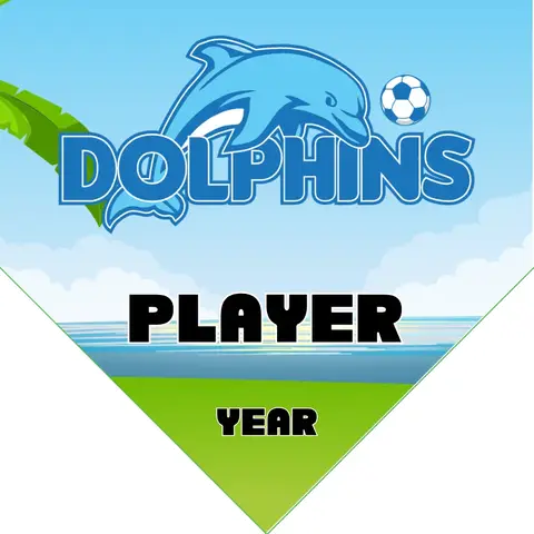 Dolphins Soccer Banner-diy-soccer-team-banner-picture