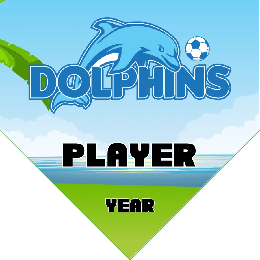 Dolphins Soccer Banner-diy-soccer-team-banner-picture