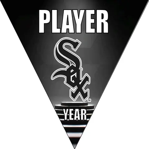 Sox 6 Baseball Banner