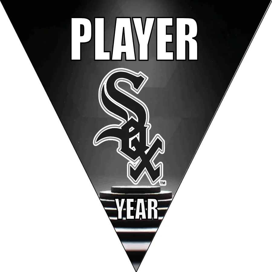 Sox 6 Baseball Banner