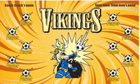 Vikings 2 Soccer Banner