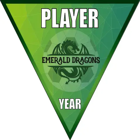 Emerald dragons Soccer Banner-soccer-party-banner-picture