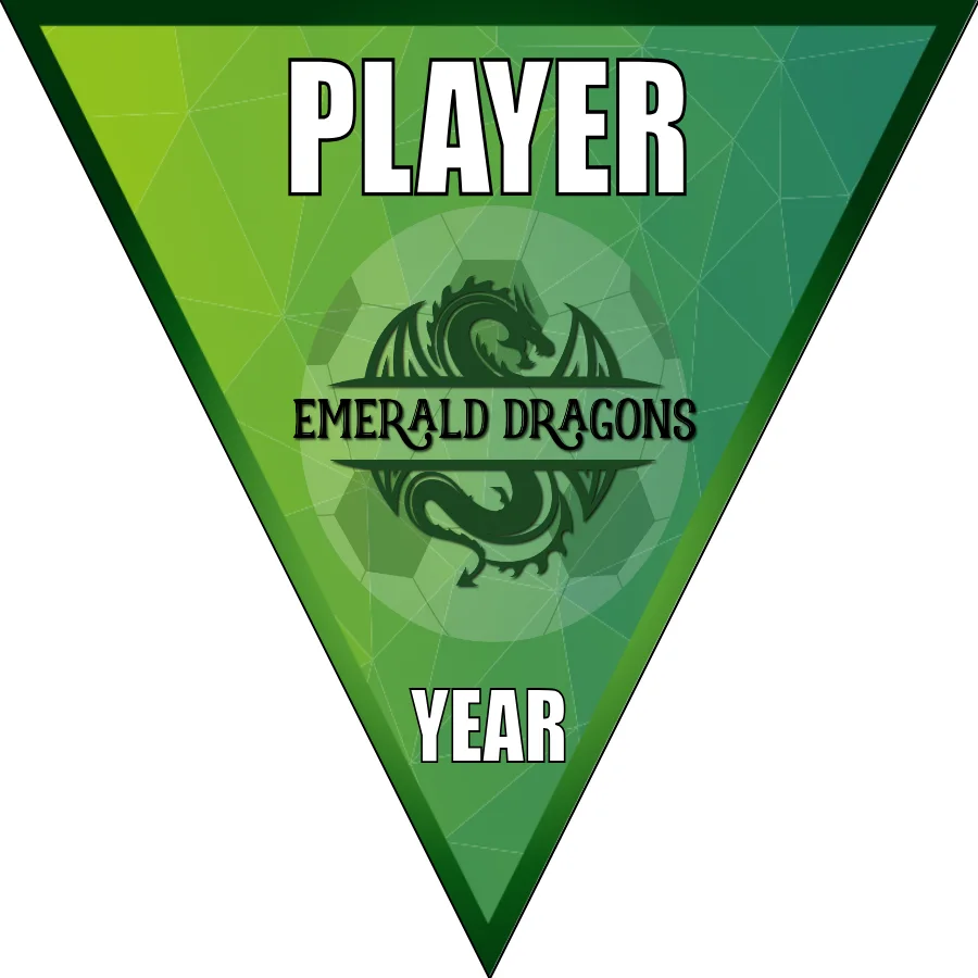 Emerald dragons Soccer Banner-soccer-party-banner-picture