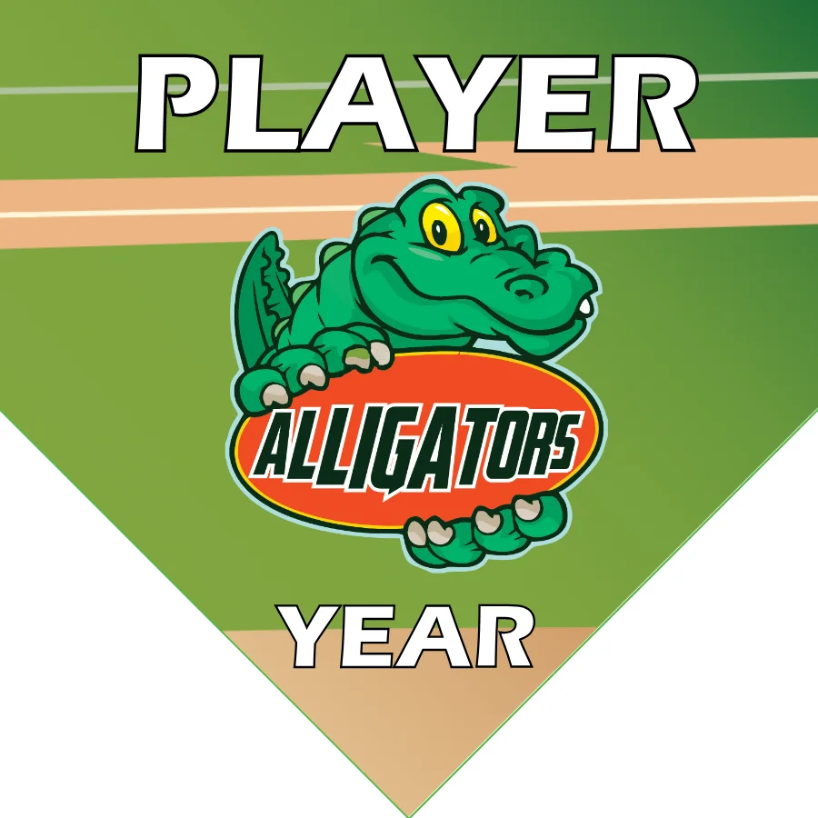 Alligators Softball Banner-softball-team-picture-banners-picture