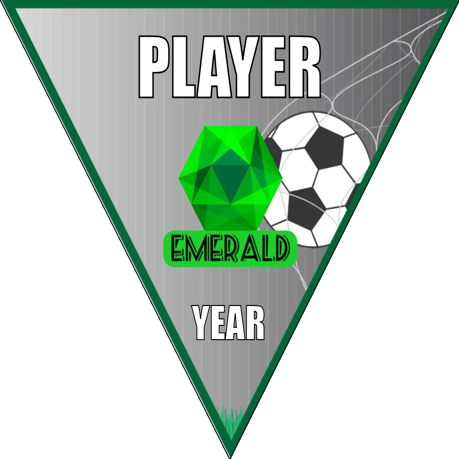 EMERALDS Soccer Banner