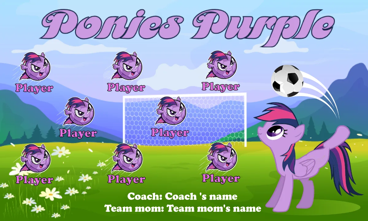 The Ponies Purple-soccer-banner-pole-kit-picture