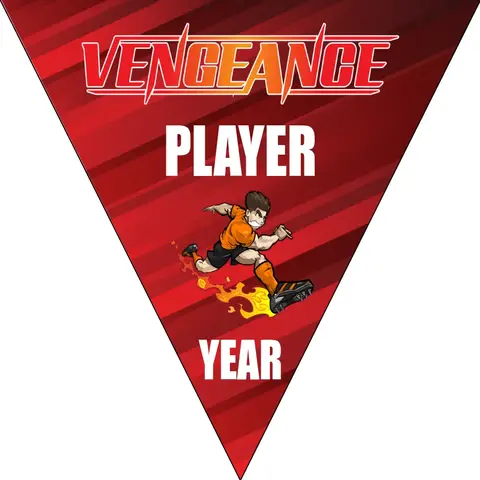 Vengeance Soccer Banner-soccer-banner-gallery-picture