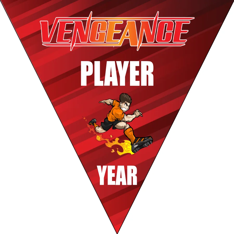 Vengeance Soccer Banner-soccer-banner-gallery-picture