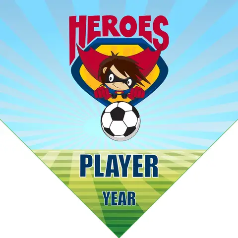 Heroes Soccer Banner-cheap-soccer-team-banner-picture