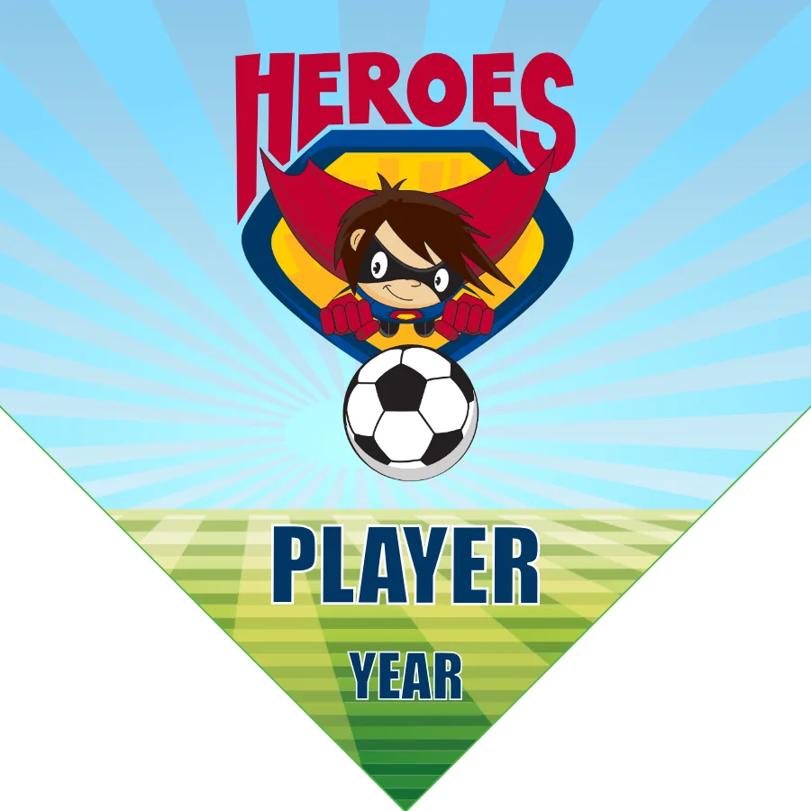 Heroes Soccer Banner-cheap-soccer-team-banner-picture