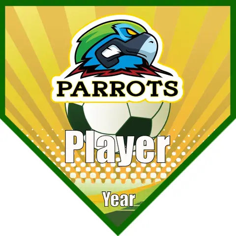 Parrots Soccer Banner-soccer-team-banner-ideas-picture