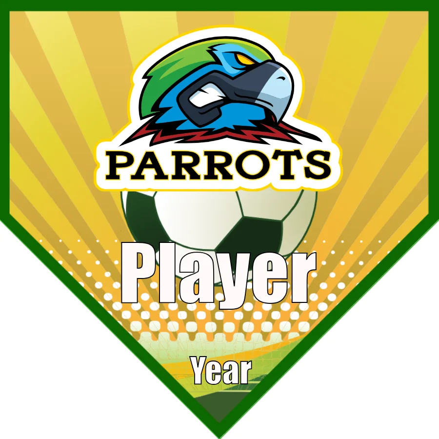 Parrots Soccer Banner-soccer-team-banner-ideas-picture