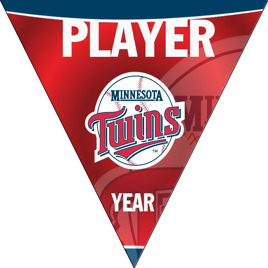 Twins Baseball Banner-how-to-make-baseball-banners-images