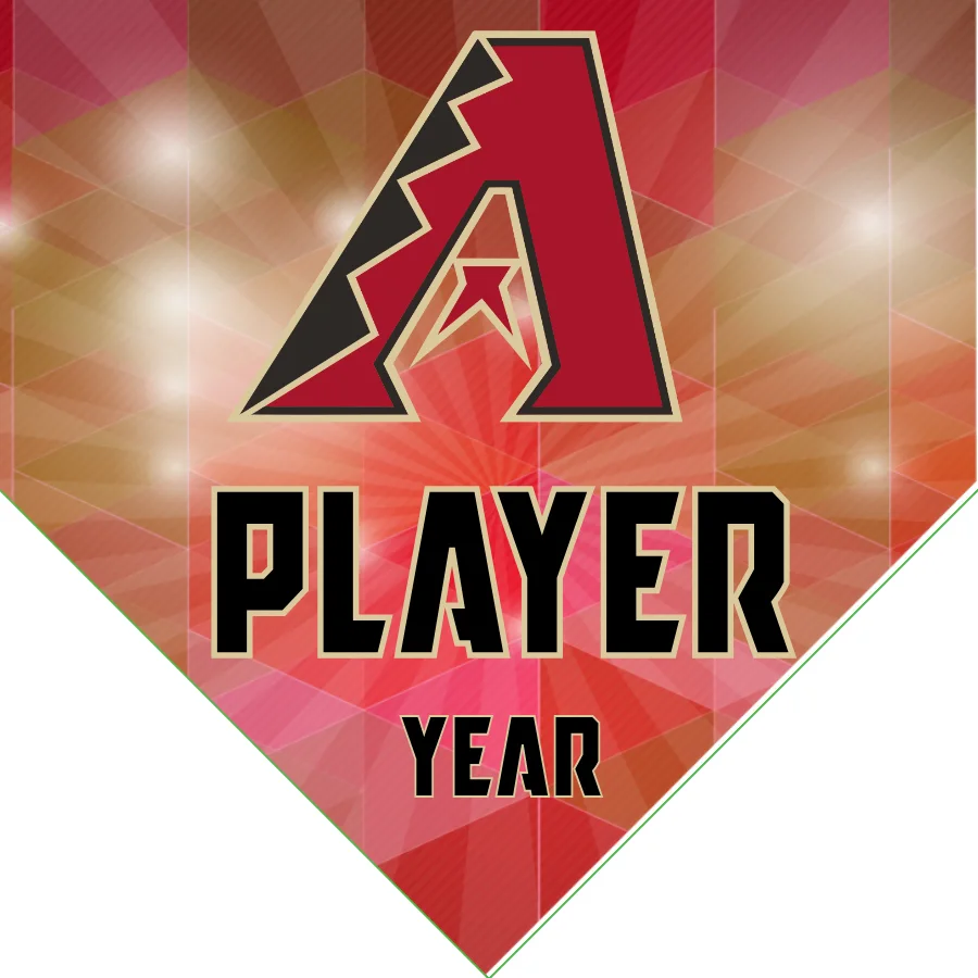 Arizona 2 Baseball Banner-baseball-outfield-banners-images