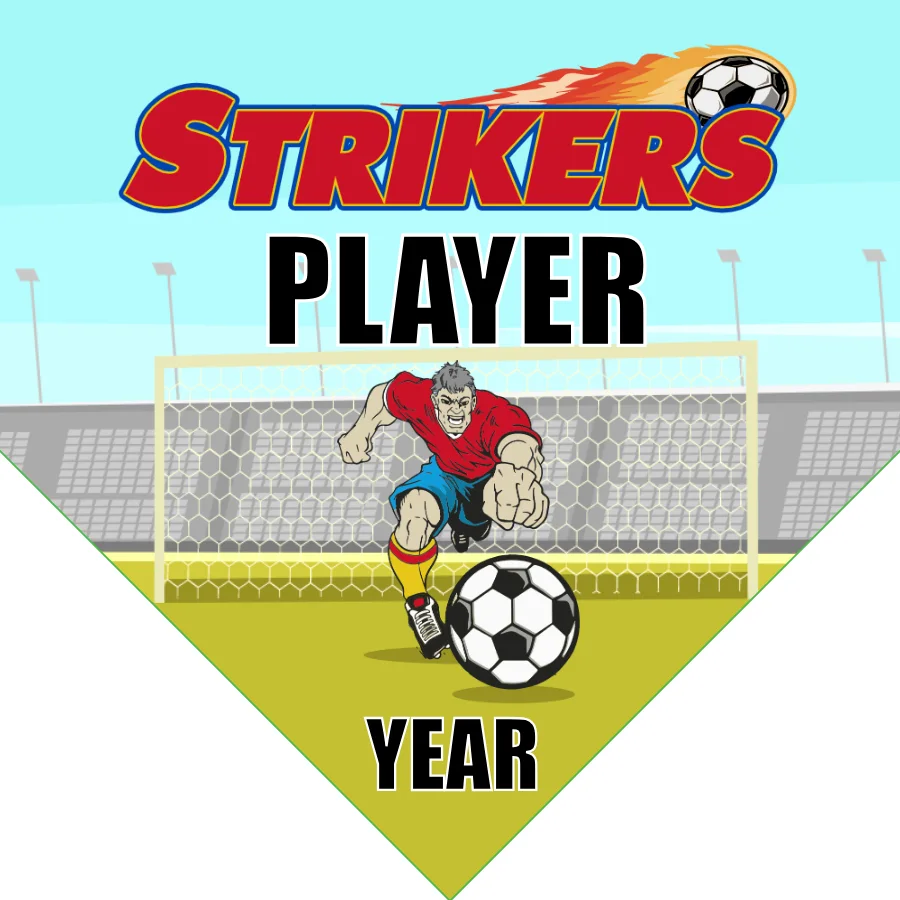 Strikers 1 Soccer Banner-nike-soccer-banner-picture