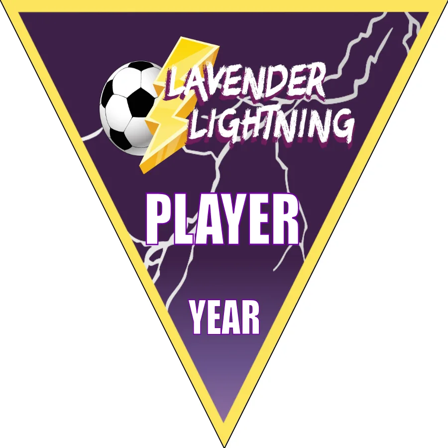 Lavender lightning 2 Soccer Banner-soccer-team-banner-ideas-picture