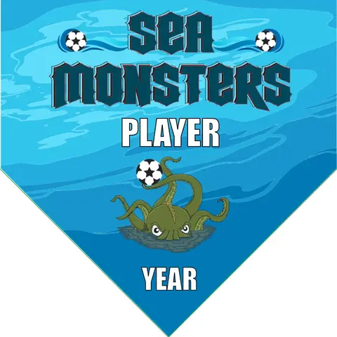 Sea Monsters 2 Soccer Banner-soccer-banners-and-flags-picture