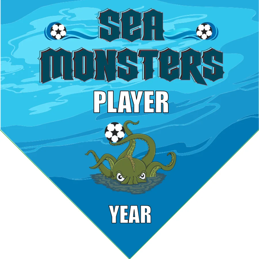 Sea Monsters 2 Soccer Banner-soccer-banners-and-flags-picture