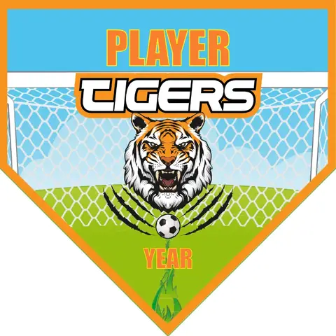 Tigers 1 Soccer Banner-soccer-banner-stand-picture