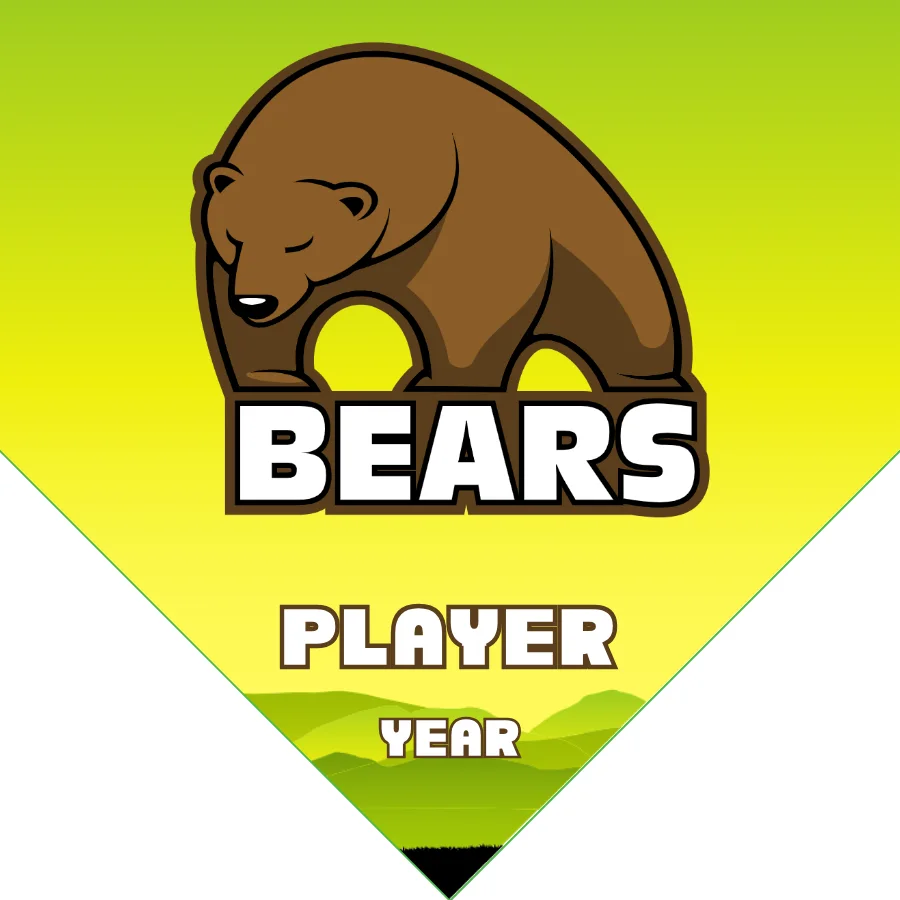 Bears 1 Soccer Banner-soccer-banners-bay-area-picture