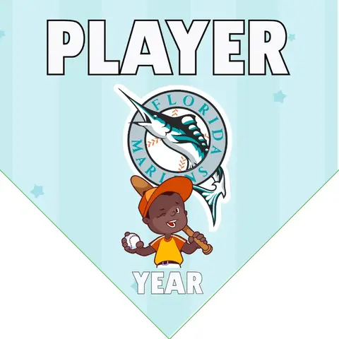 Marlins Baseball Banner-youth-baseball-banner-images