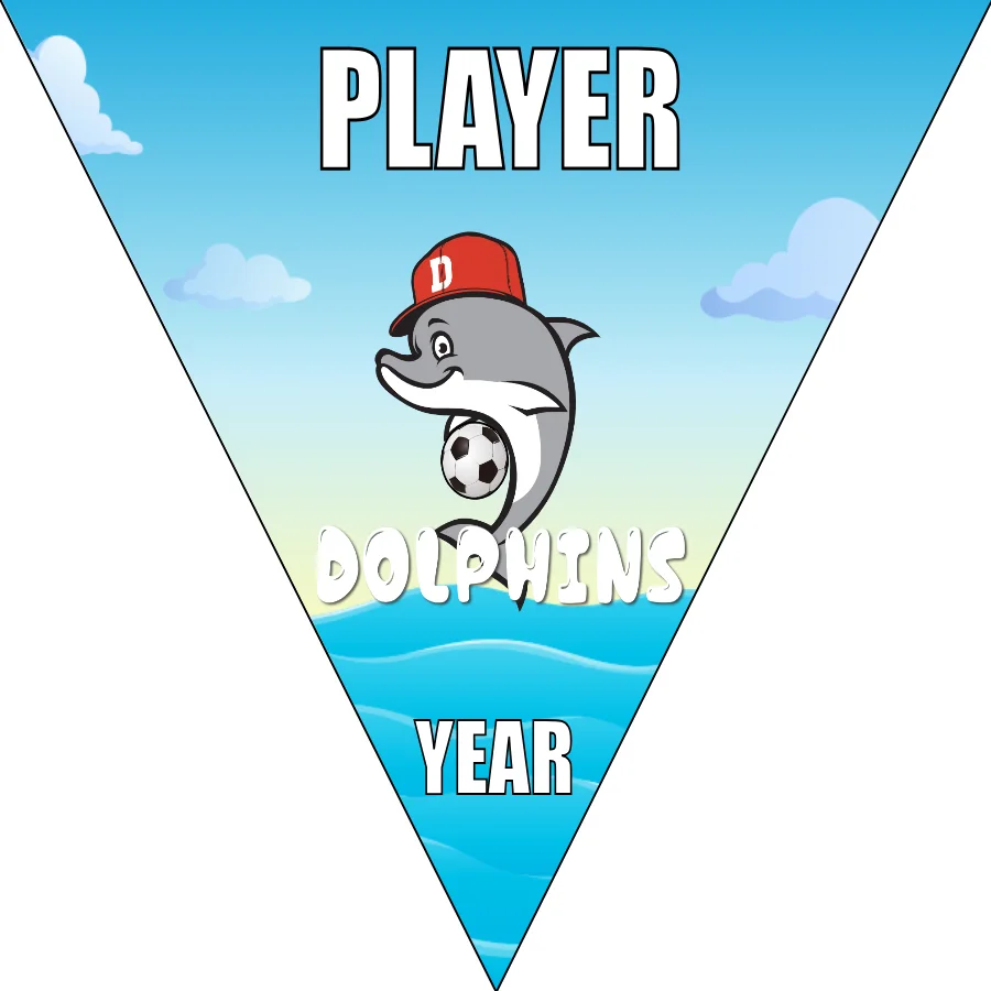 Dolphins 01 Soccer Banner-soccer-banner-printing-picture