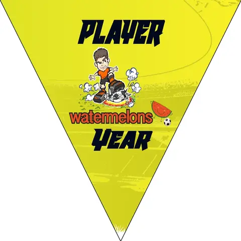 Watermelon Soccer Banner,-soccer-party-banner-picture