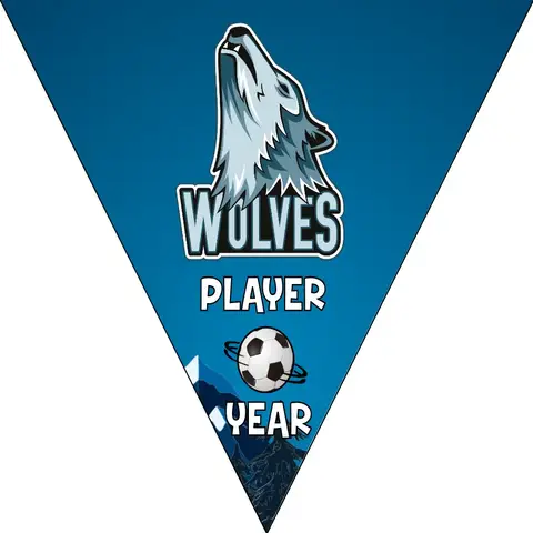 Wolves Soccer Banner,-soccer-party-banner-picture