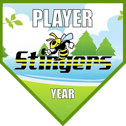Stingers Soccer Banner-soccer-banner-picture