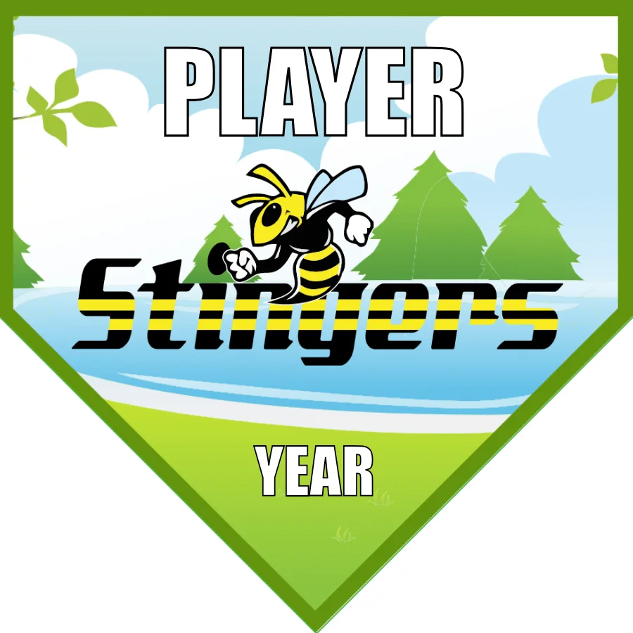 Stingers Soccer Banner-soccer-banner-picture