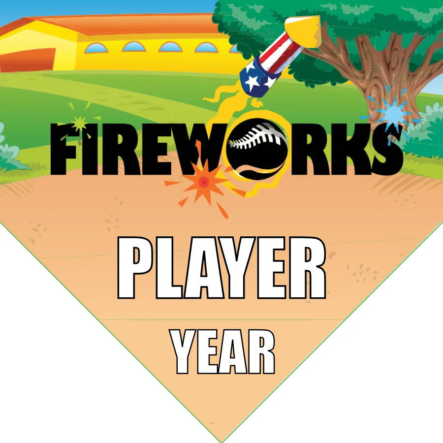 Fireworks 1 Softball Banner-softball-banner-maker-images