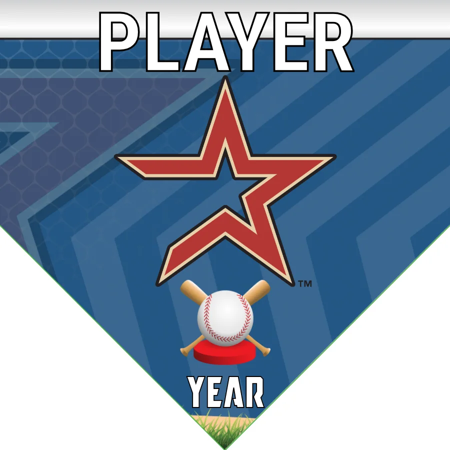 Astros3 Baseball Banner-baseball-birthday-pennant-banner-images