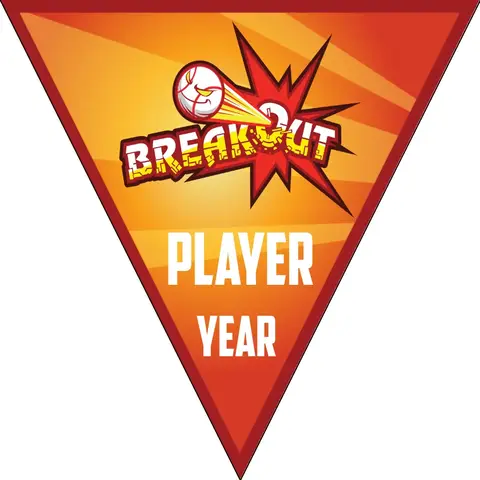 Breakout-red-white-triangle-softball-team-banners-images