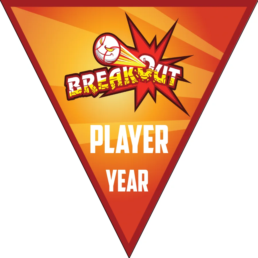 Breakout-red-white-triangle-softball-team-banners-images