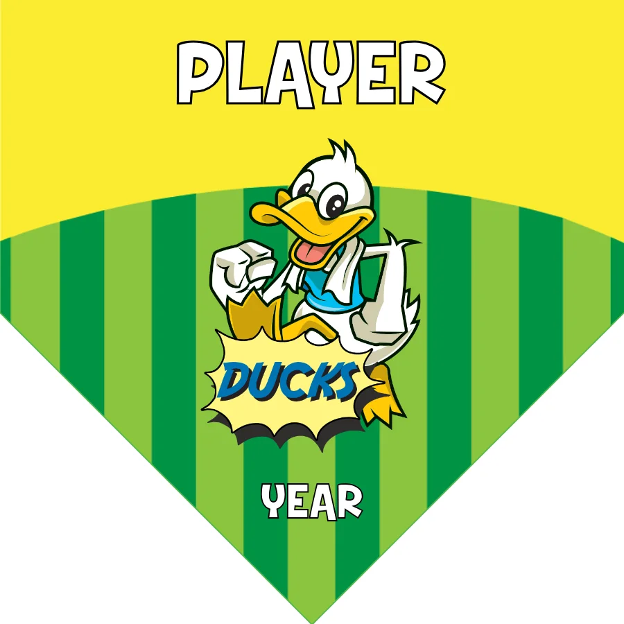 Duck 02 Soccer Banner-soccer-banner-with-stand-picture