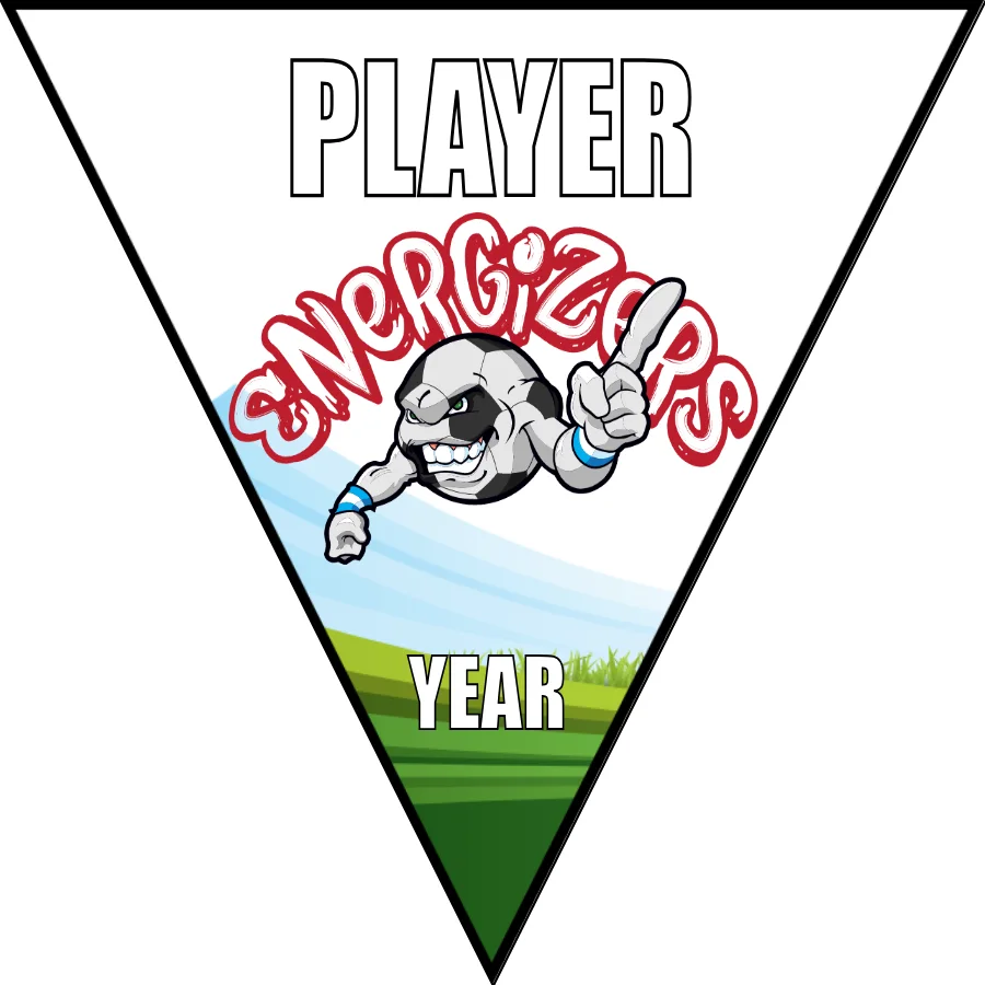 Energigers Soccer Banner-soccer-party-banner-picture
