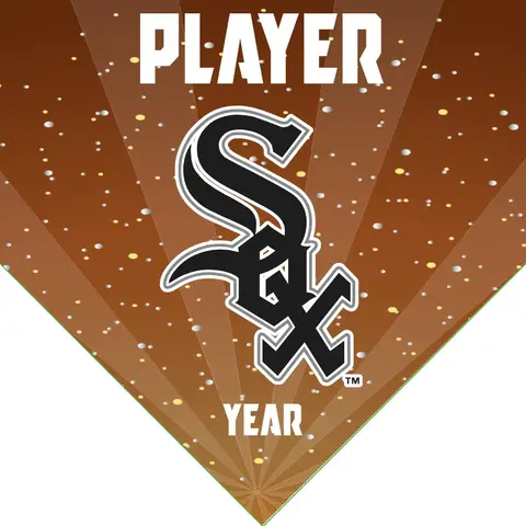 White Sox 2 Baseball Banner-baseball-banner-quotes-images
