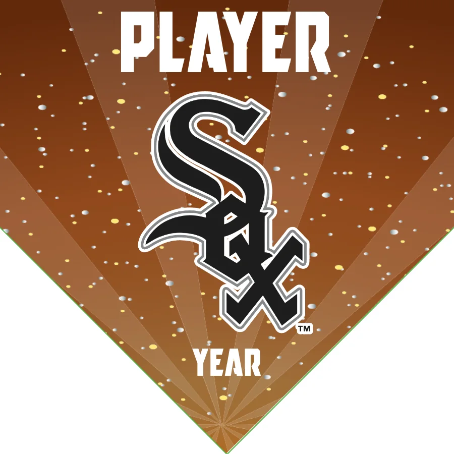White Sox 2 Baseball Banner-baseball-banner-quotes-images