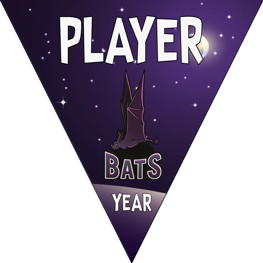 Bats Softball Banner-softball-field-banner-picture