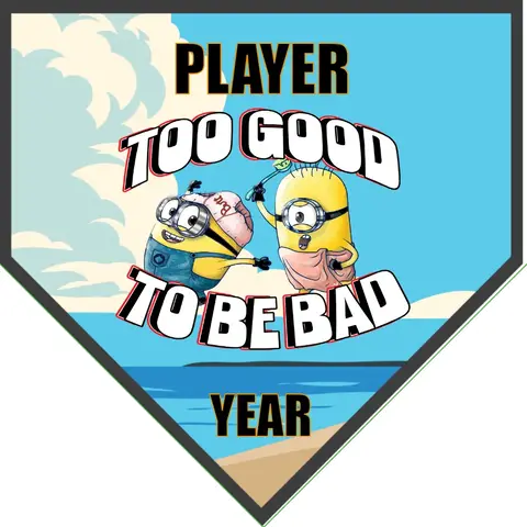 Too Good to be Bad Soccer Banner-soccer-team-banner-ideas-picture
