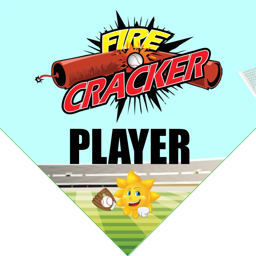 Firecracker2 Softball Banner-softball-banner-slogans-images